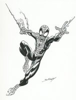 Comic Art Sketchbook For July 2004: Spider-man